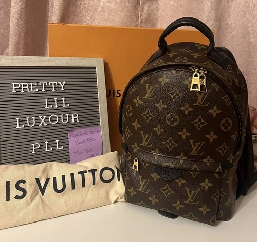 Louis Vuitton Palm Springs Backpack PM Brown Canvas - photo 2