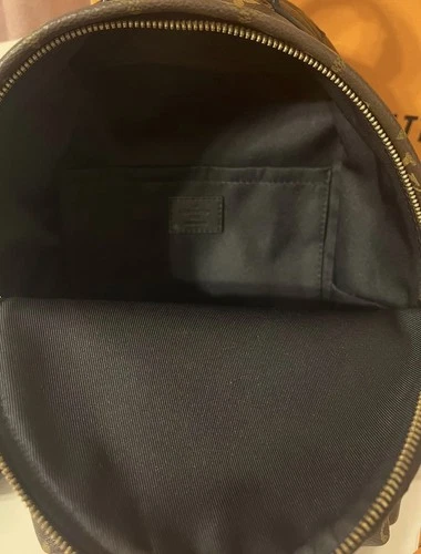 Louis Vuitton Palm Springs Backpack PM Brown Canvas - photo 3