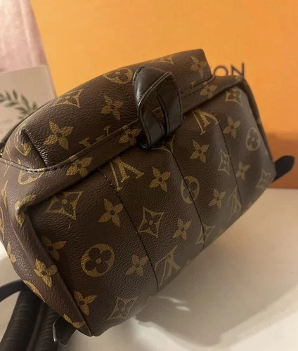 Louis Vuitton Palm Springs Backpack PM Brown Canvas - photo 5
