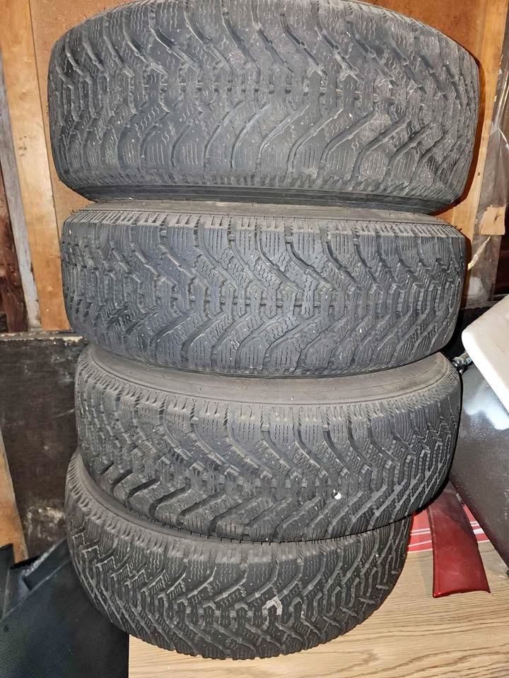 Winter Nordic Tires M+S 190/70R14 on steel rims