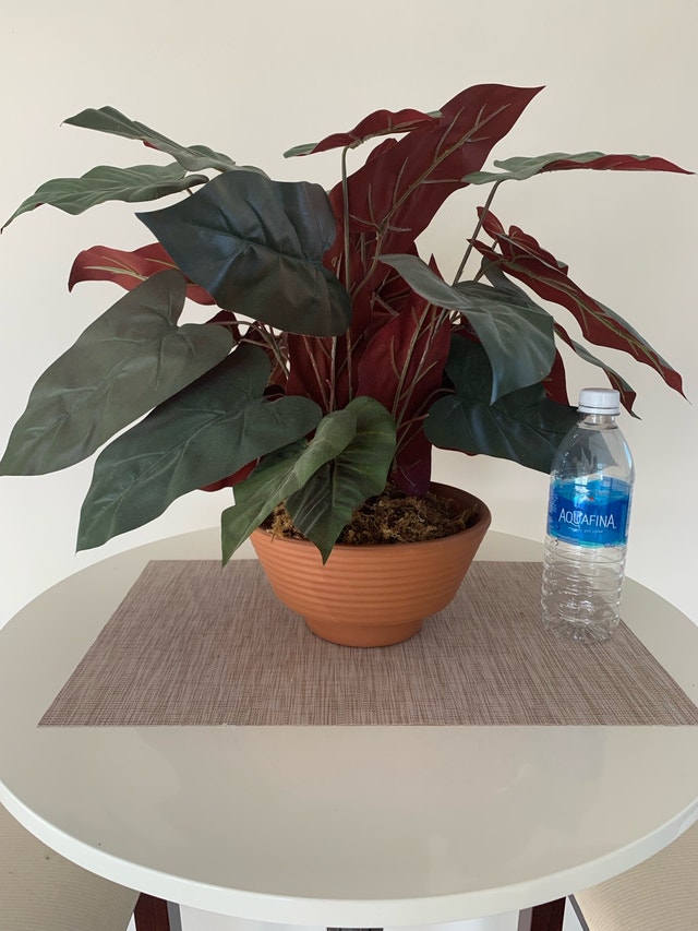 Faux Plant / Fake Plant