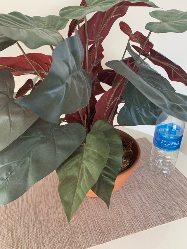 Faux Plant / Fake Plant - photo 2