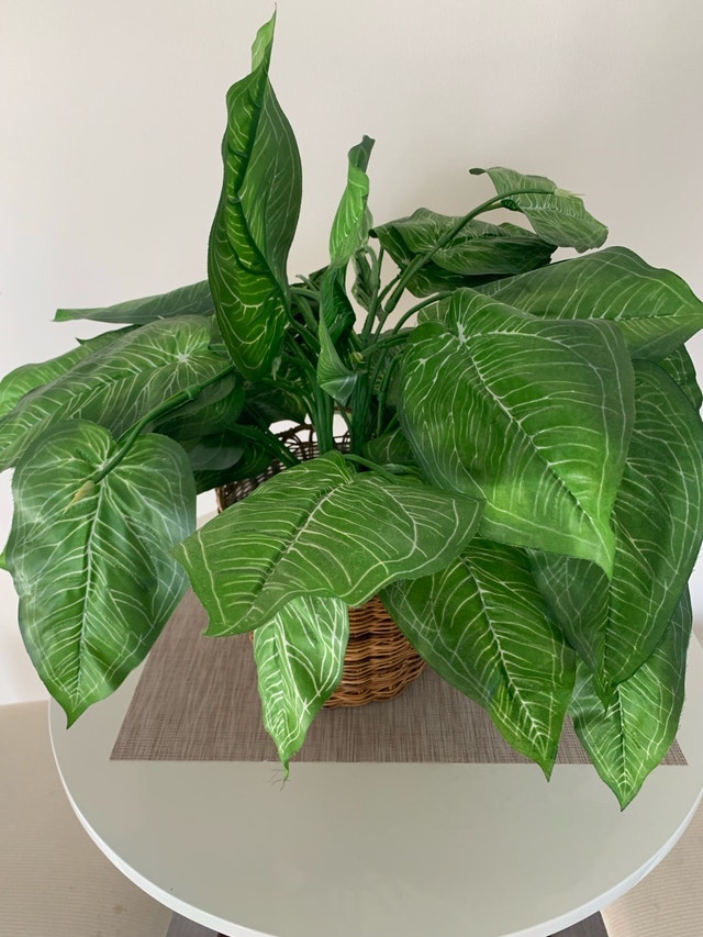 Faux Plant / Fake Plant - photo 3