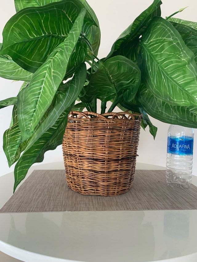 Faux Plant / Fake Plant - photo 4