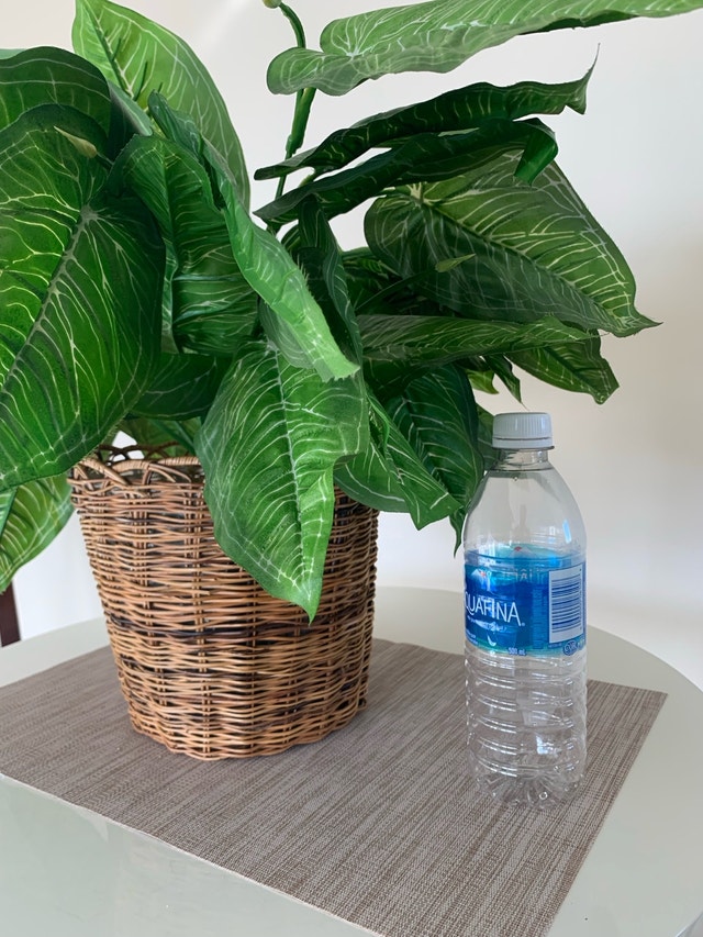 Faux Plant / Fake Plant - photo 5