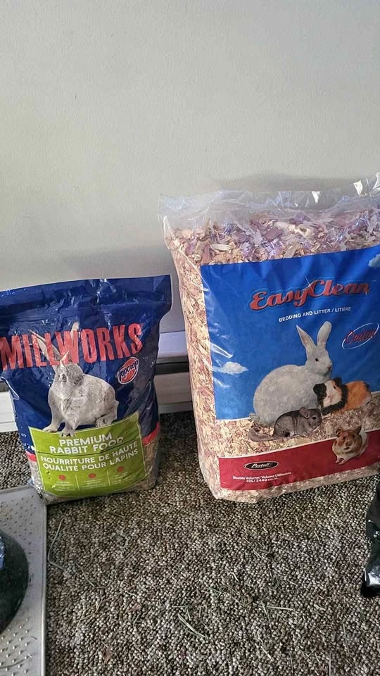 Rabbit food and shavings
