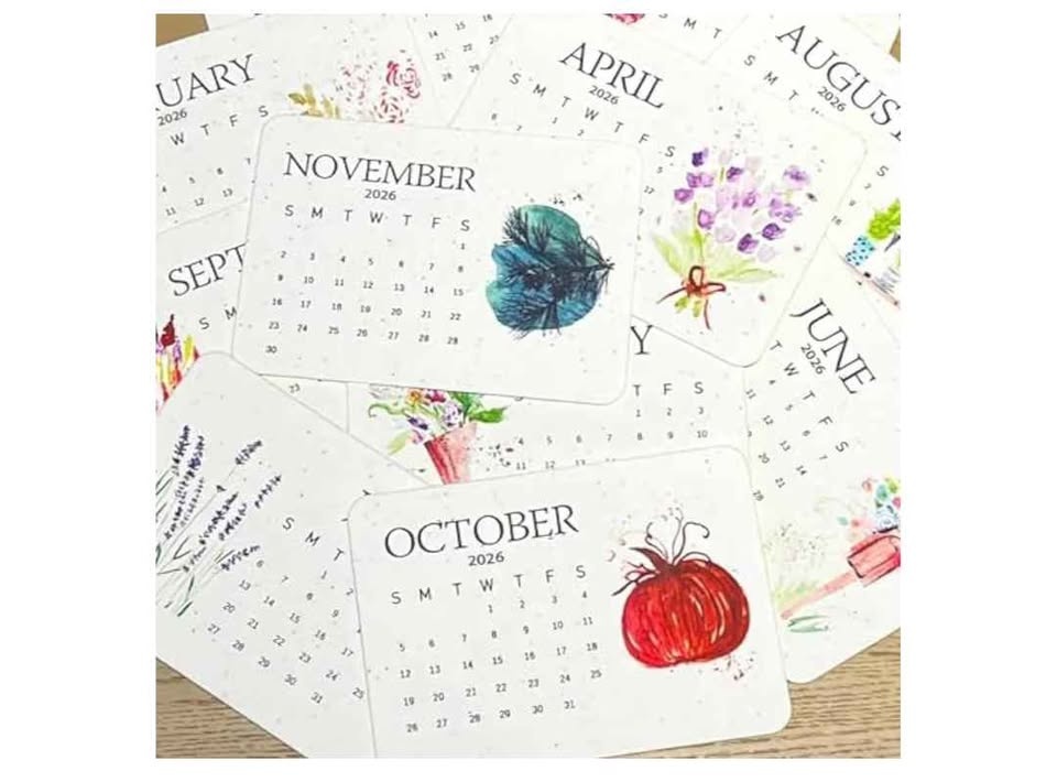 Brand new plantable seed paper eco-friendly desk calendar - photo 4