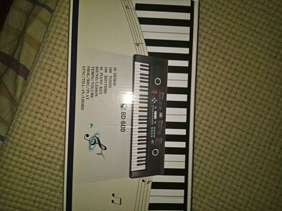BD Music BD-600 61-Key Electronic Keyboard + Microphone | Origin