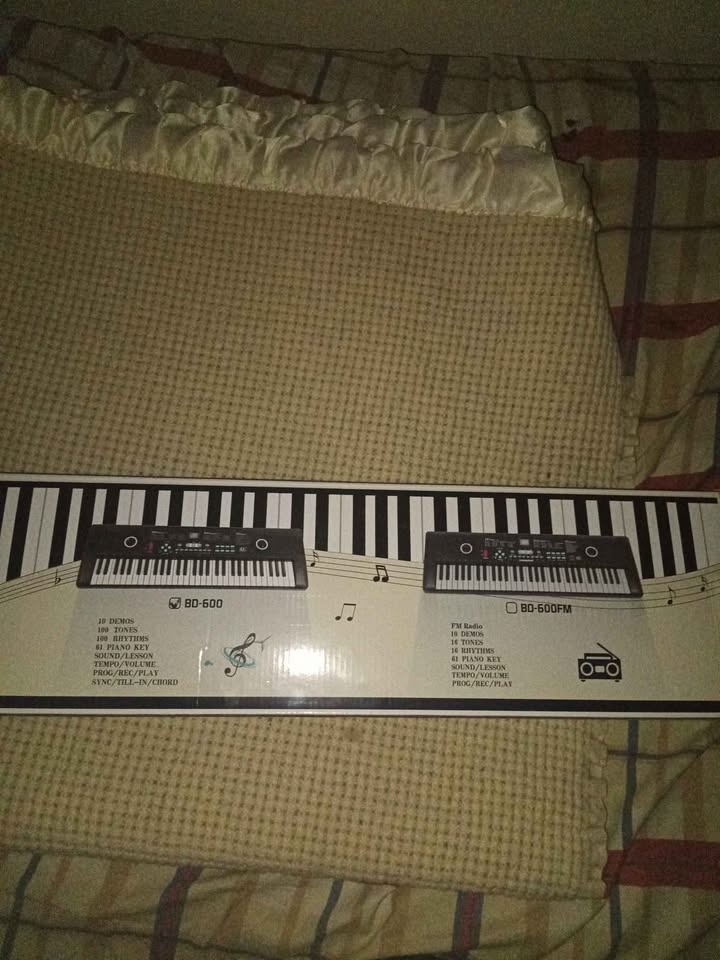 BD Music BD-600 61-Key Electronic Keyboard + Microphone | Origin - photo 5
