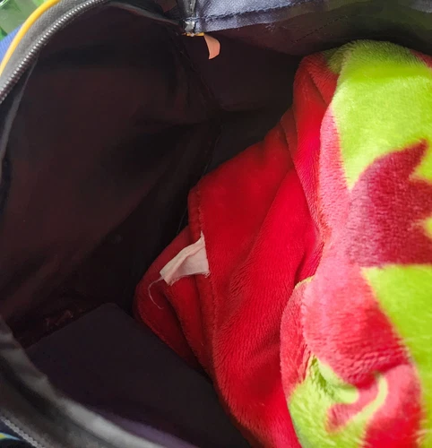 Vintage Goodlife Fitness Blue & Green Duffle Bag 🏈 - photo 4