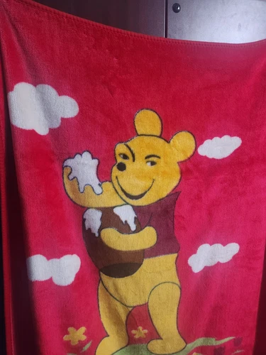 HTF Sus Winnie the Pooh Holding Honey Pot Blanket 🏈