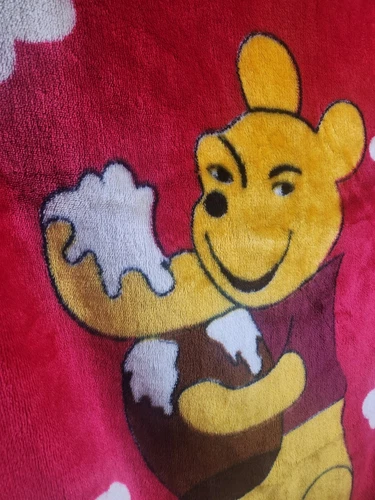 HTF Sus Winnie the Pooh Holding Honey Pot Blanket 🏈 - photo 2
