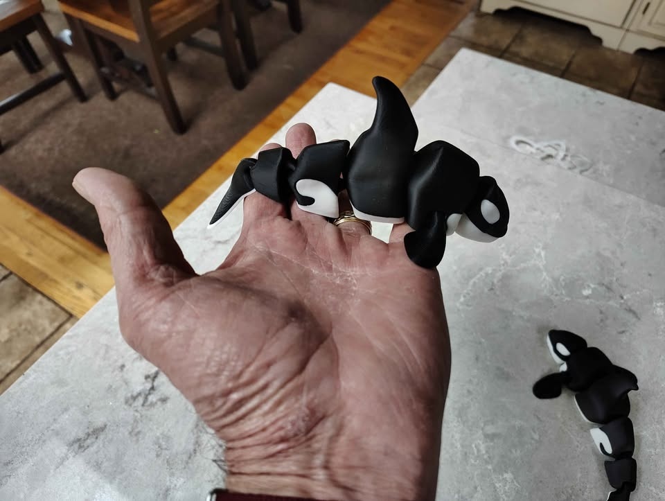 3D Printed Articulating Orca (Killer Whale) - photo 4