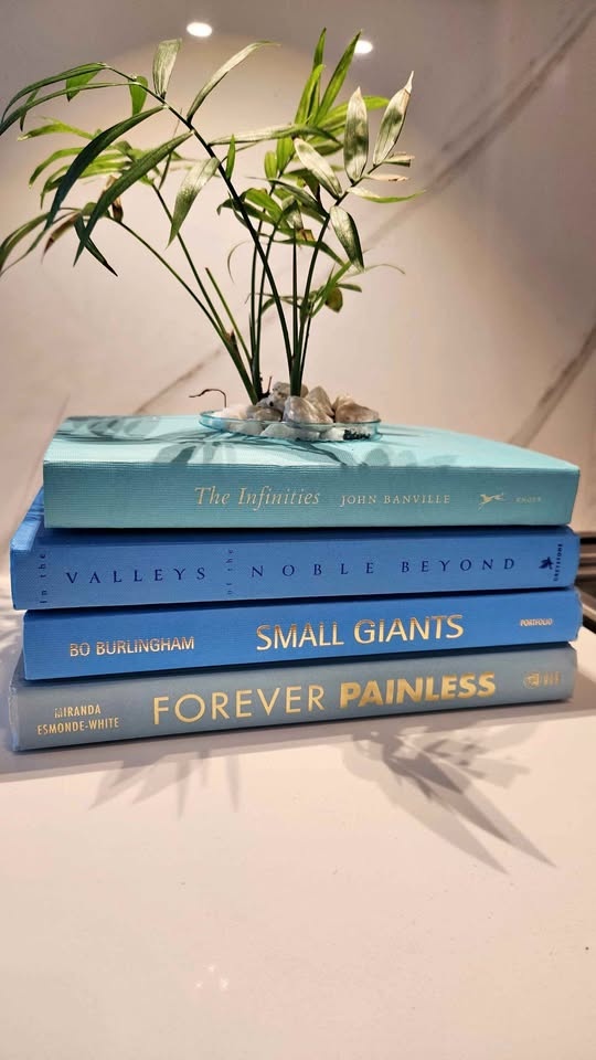 Upcycled Teal Book Planter with Parlour Palm