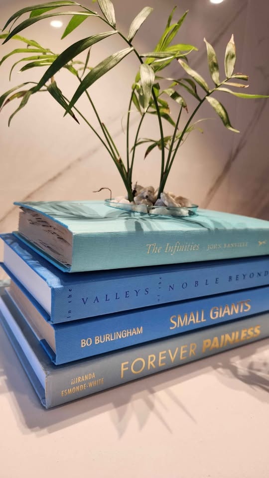 Upcycled Teal Book Planter with Parlour Palm - photo 2