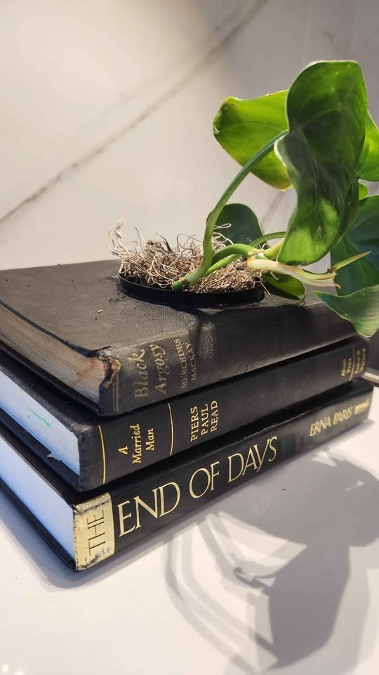 Stunning upcycled black book set planter with pothos - photo 2