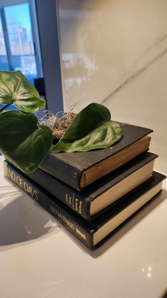 Stunning upcycled black book set planter with pothos - photo 3