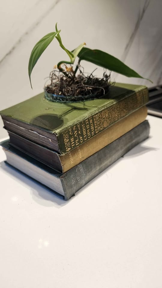 Set of 3 Vintage Green Books Upcycled Planter with Pothos - photo 3