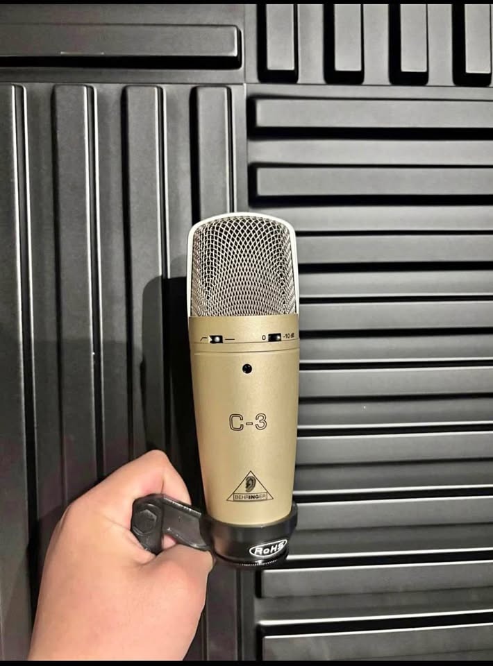 Studio Recording Mic