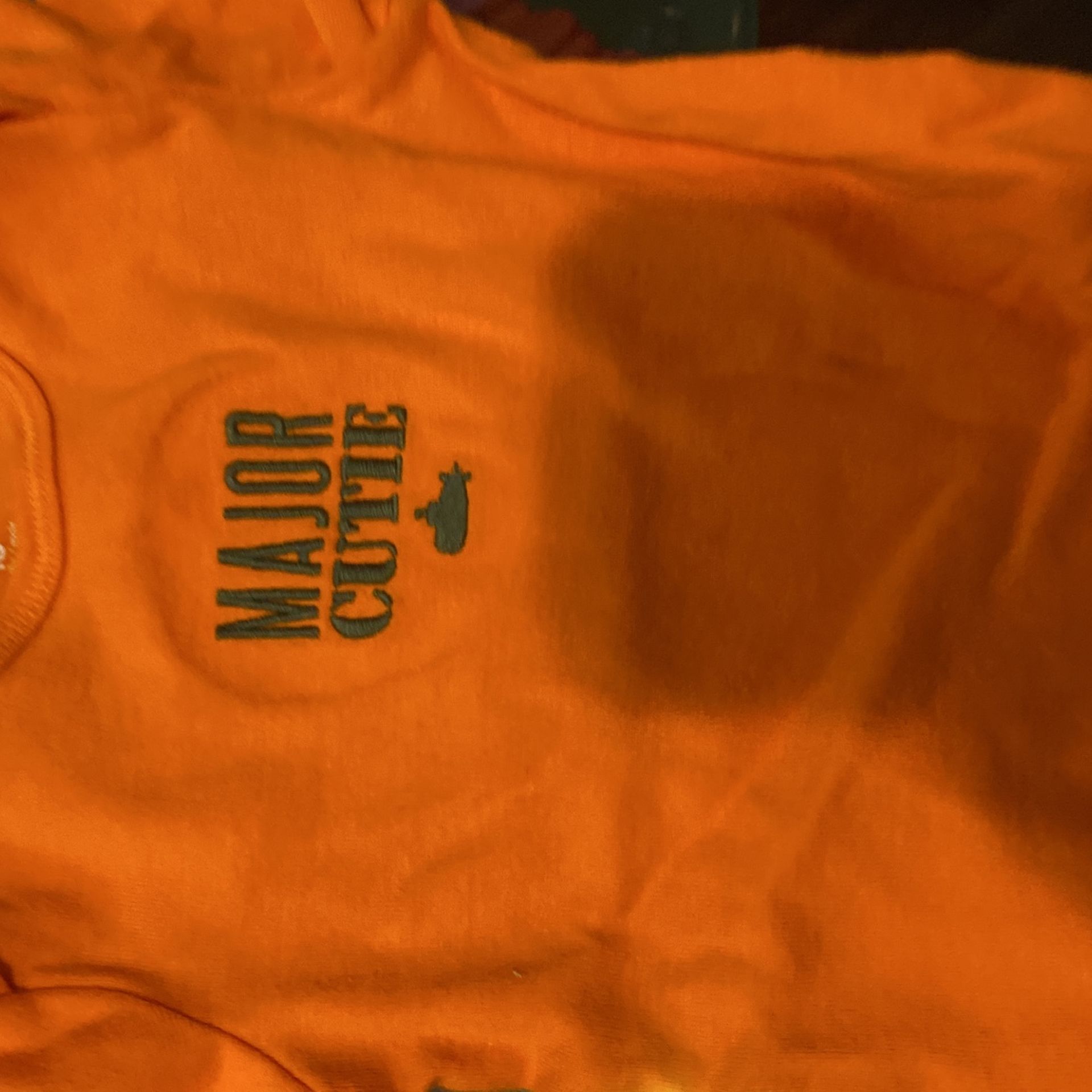 Baby Clothes Bundle - Sizes 18 Months & 2T - photo 2