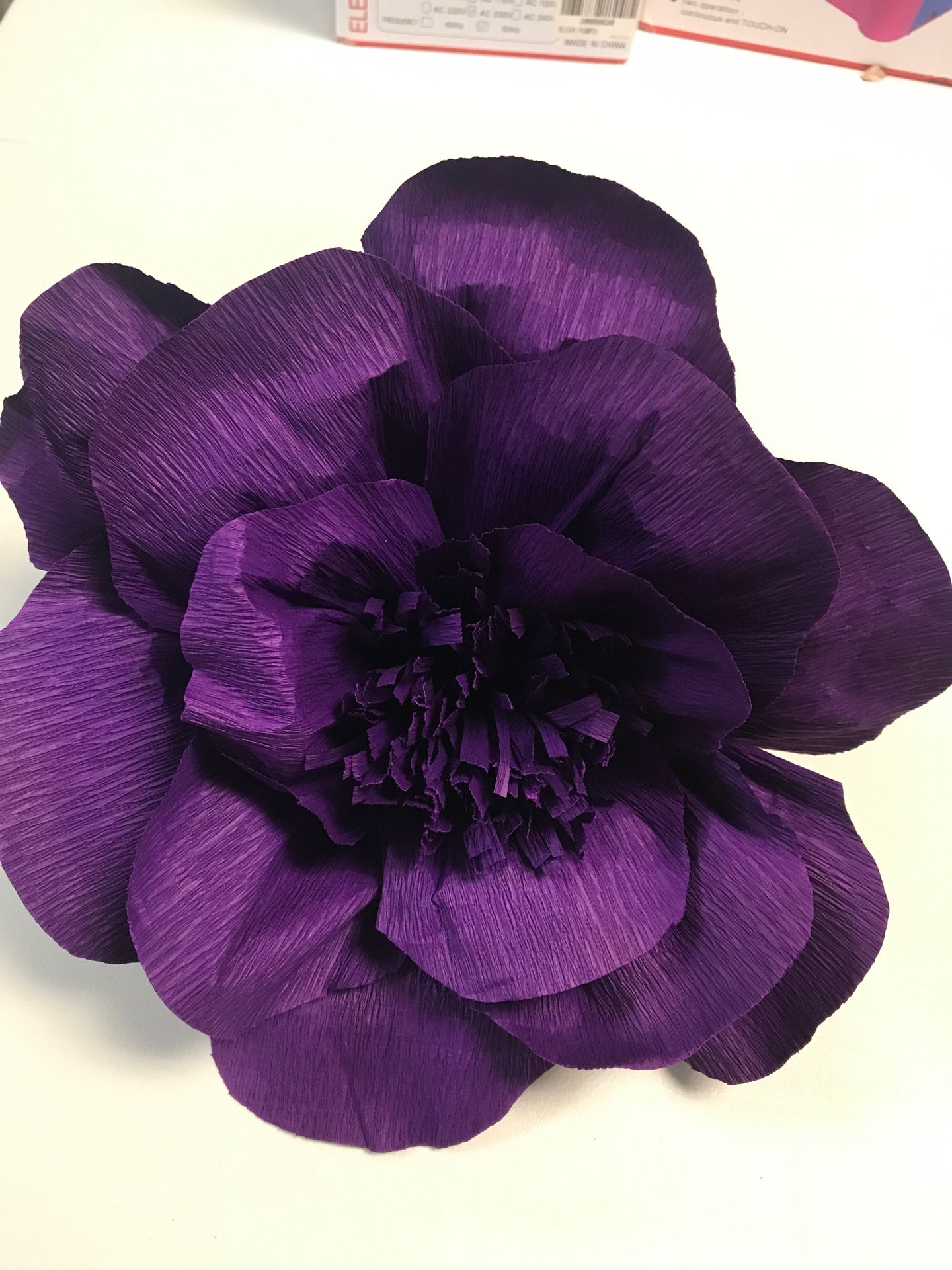 Purple Flowers