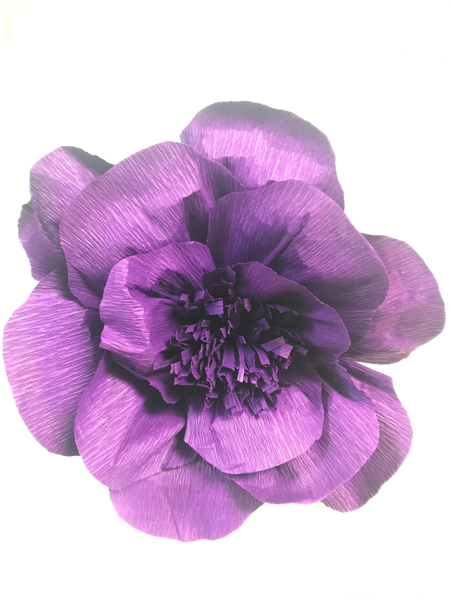 Purple Flowers - photo 2