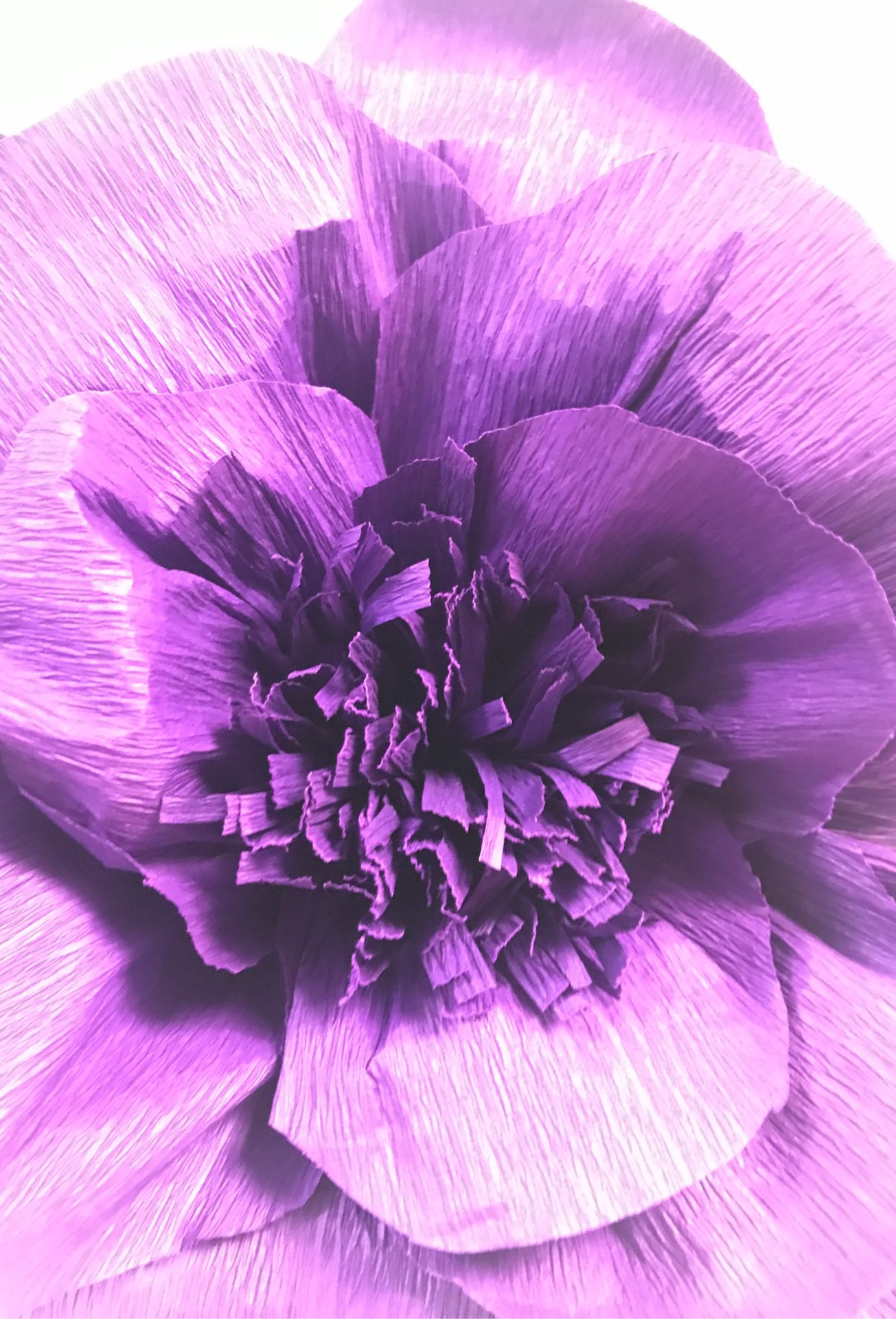 Purple Flowers - photo 4
