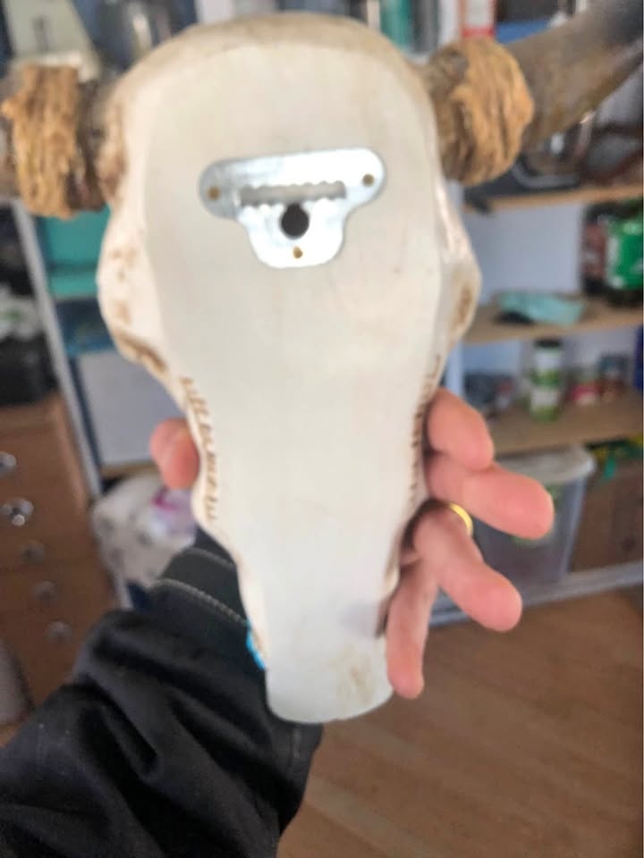 Wall hanger ceramic bull skull