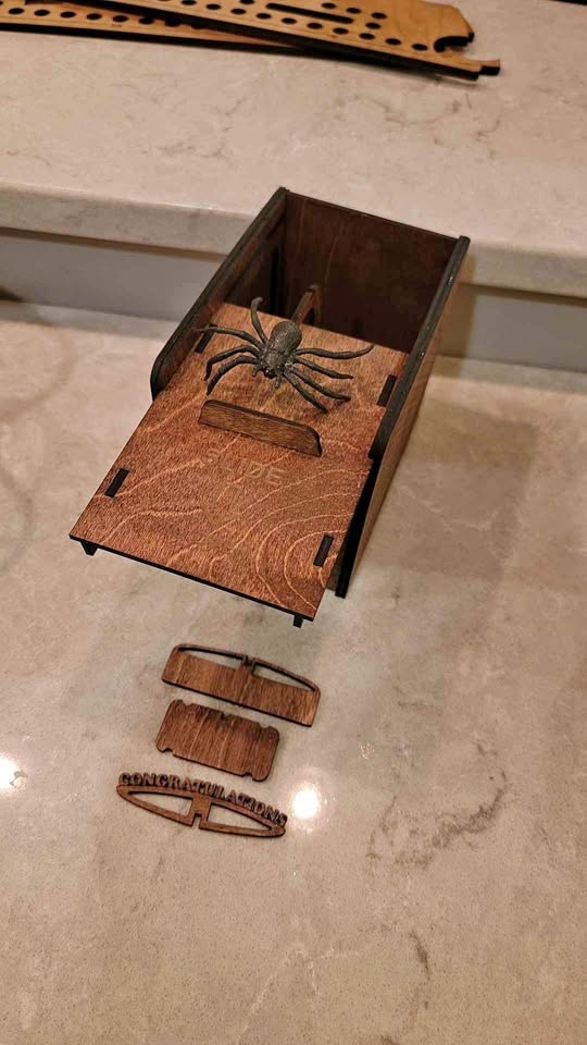 Scary Spider Laser Cut/Engraved Wooden Surprise Box Kit