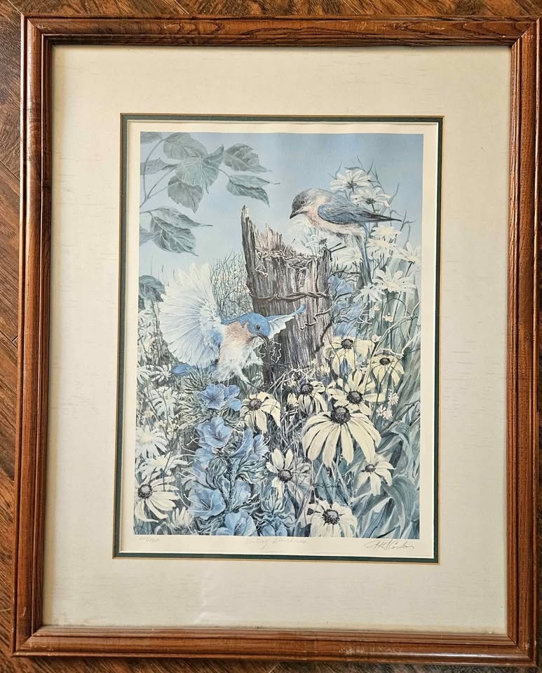 Framed Nesting Bluebirds Art Print by R.H. Cooder