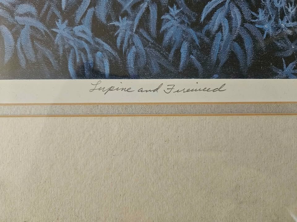 Diane Paton Peel "Lupine and Fireweed" Framed Print 63/300 - photo 2