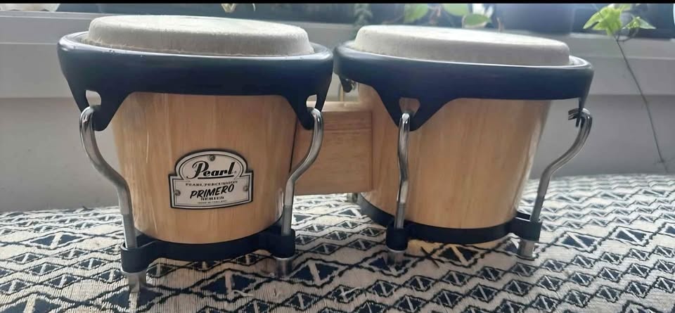 Pearl PRIMERO Series Bongos