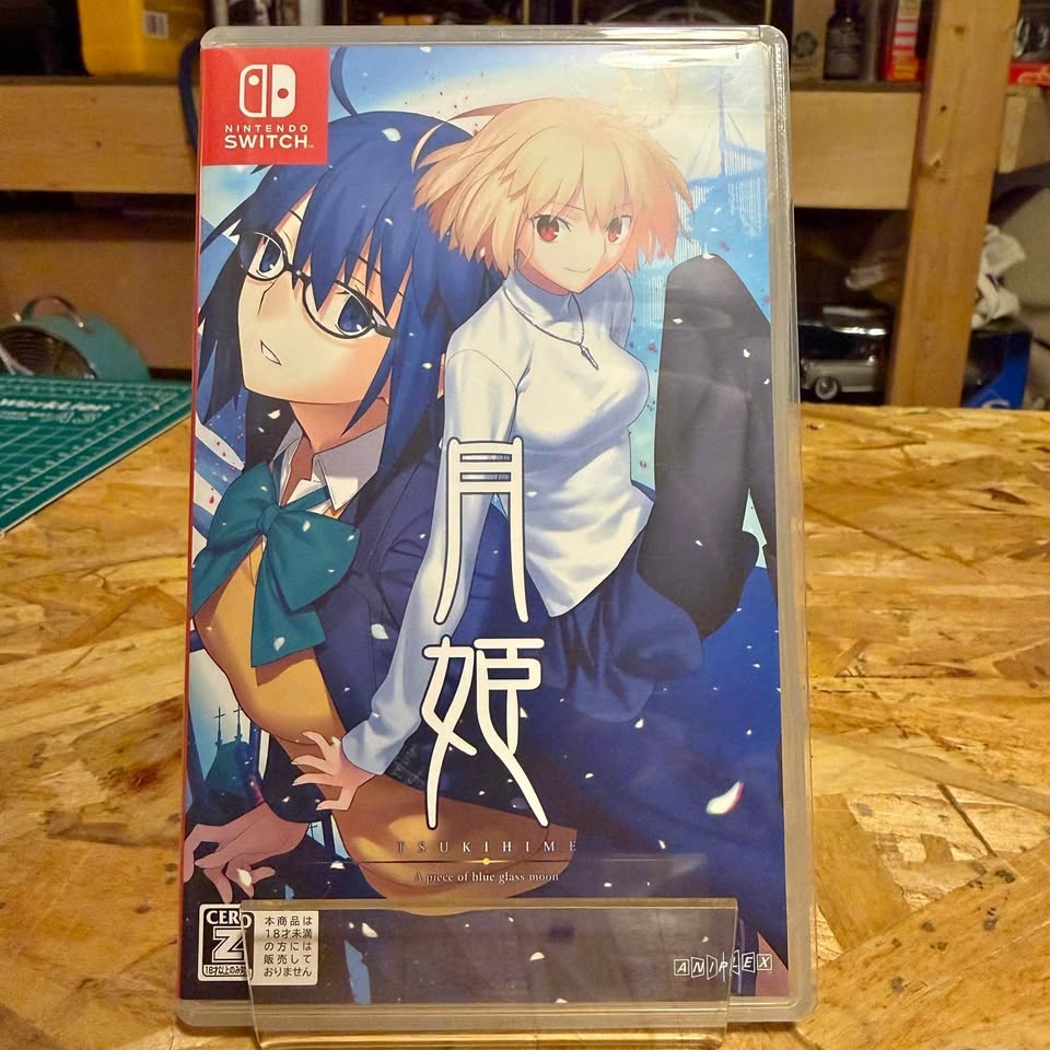 Tsukihime Remake NSW
