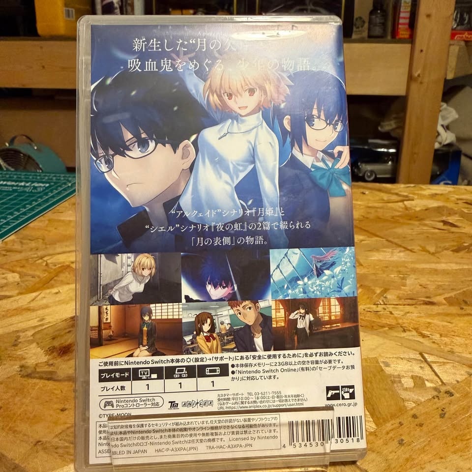 Tsukihime Remake NSW - photo 2