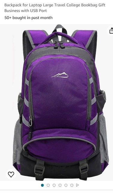 ProEtrade Laptop Backpack - Large, Travel, School, USB Port