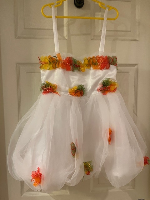 Little Girl Dresses for Special Occasions - White