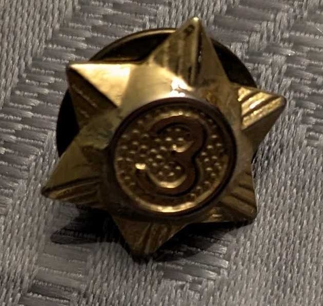 Girl Guides of Canada Three Year Pin