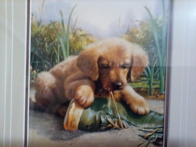 Vintage Yellow Lab Print and Plate