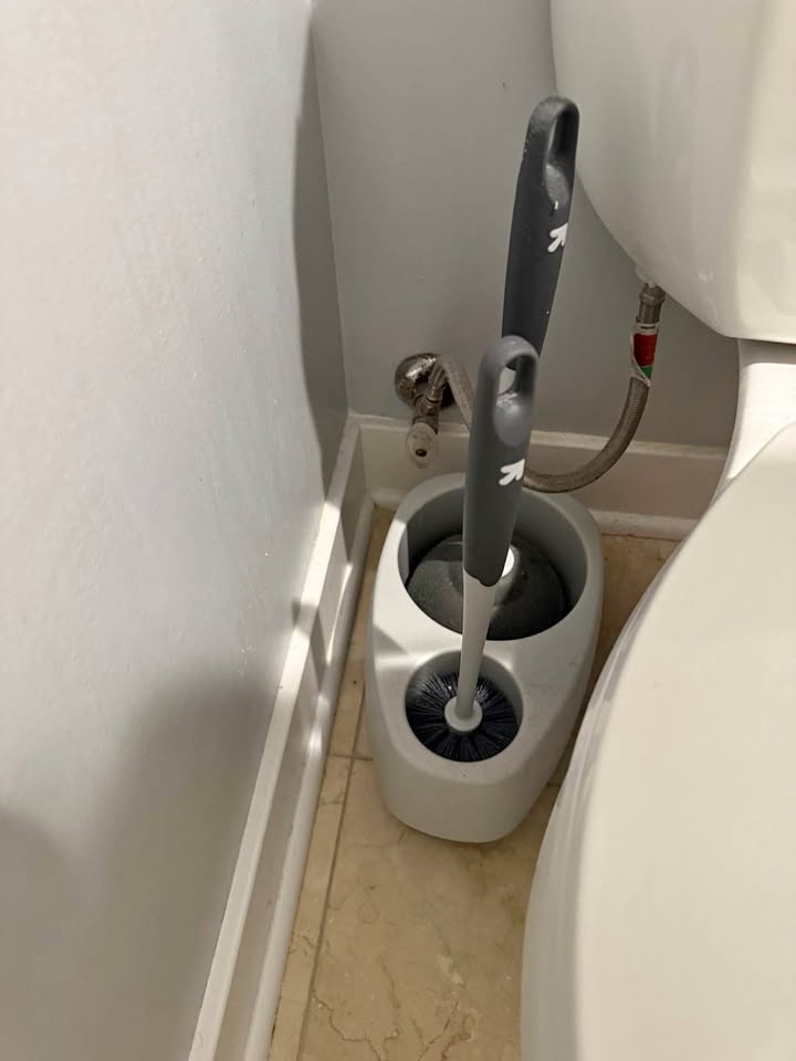 Toilet Bowl Scrubber and Plunger