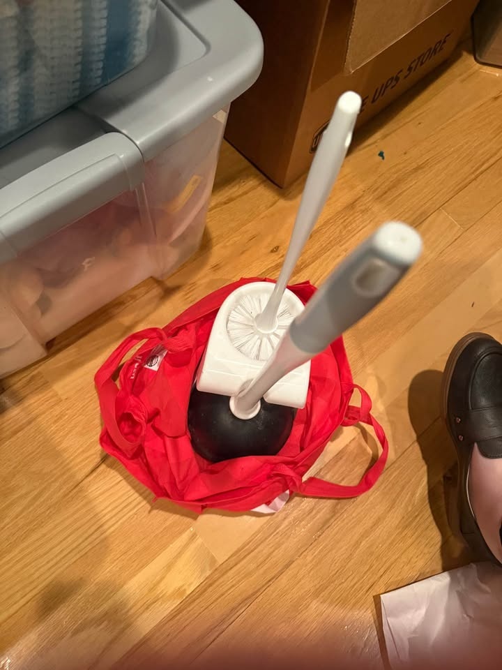 Toilet Bowl Scrubber and Plunger - photo 2