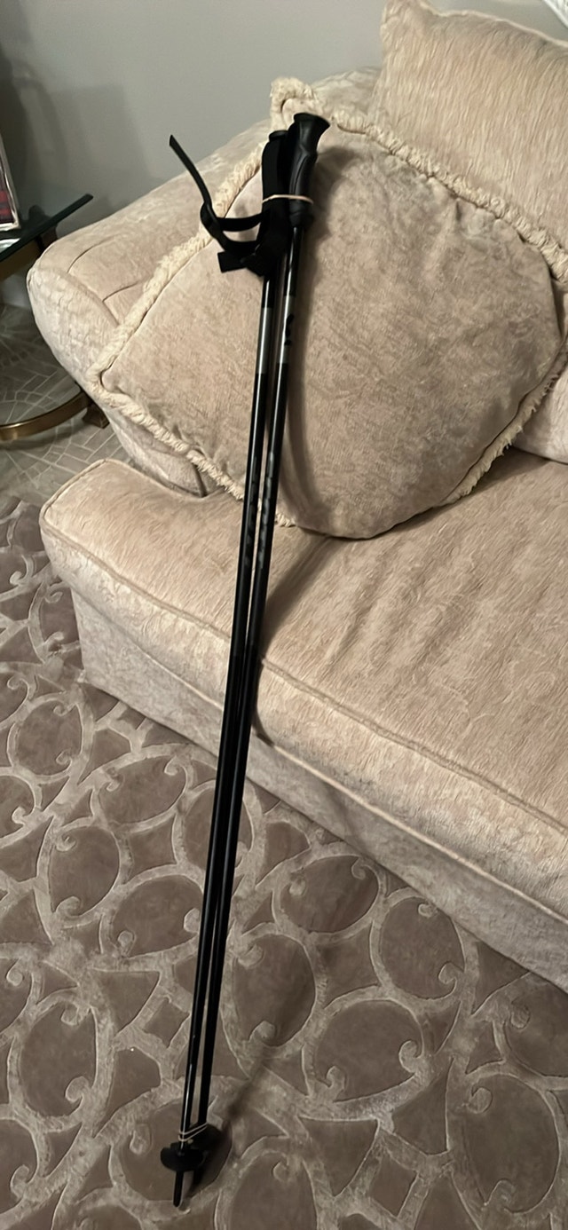 Scott Series Two - Ski Poles