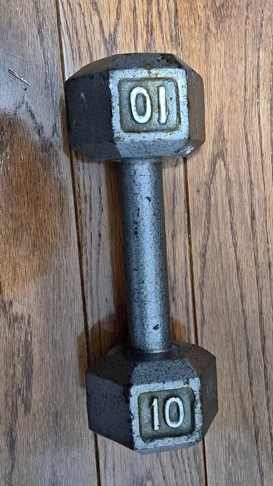10lb Steel Dumbbell