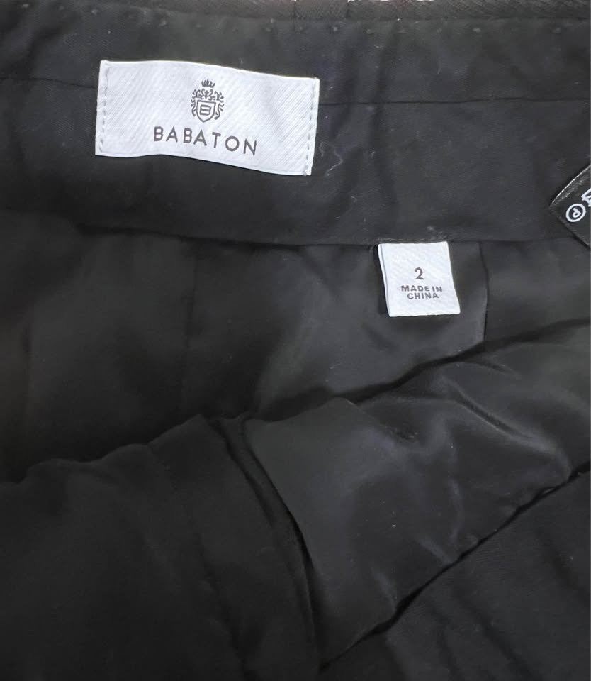 Aritzia Babaton Shorts - photo 3