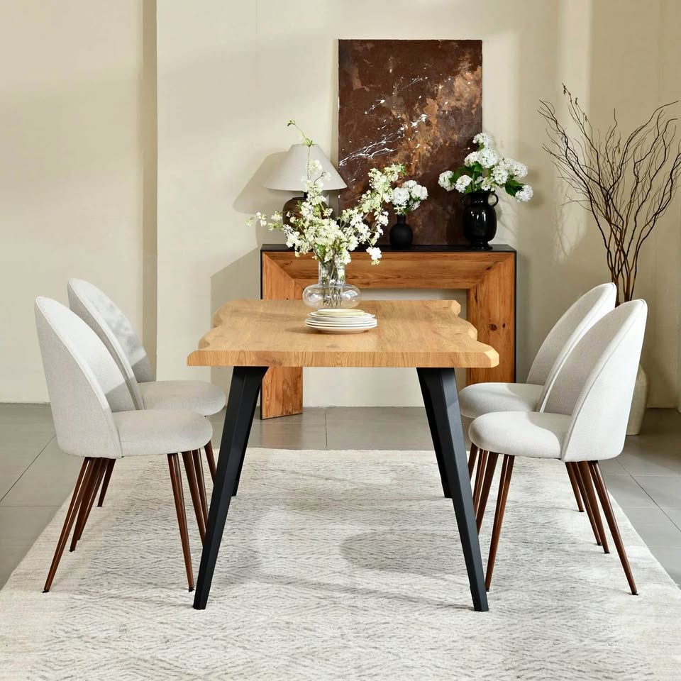 Homy Casa Dining Chairs - Set of 2