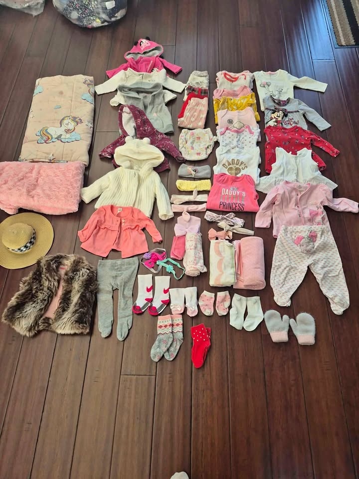 35 Piece Girls Clothing Lot (6-12 Months)