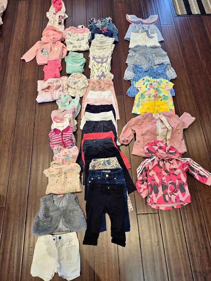 47 Piece Girls Clothing Lot (6-12 Months)