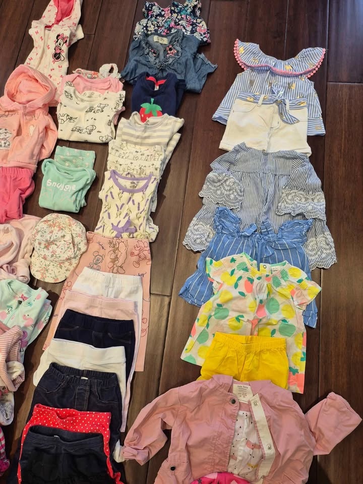 47 Piece Girls Clothing Lot (6-12 Months) - photo 3