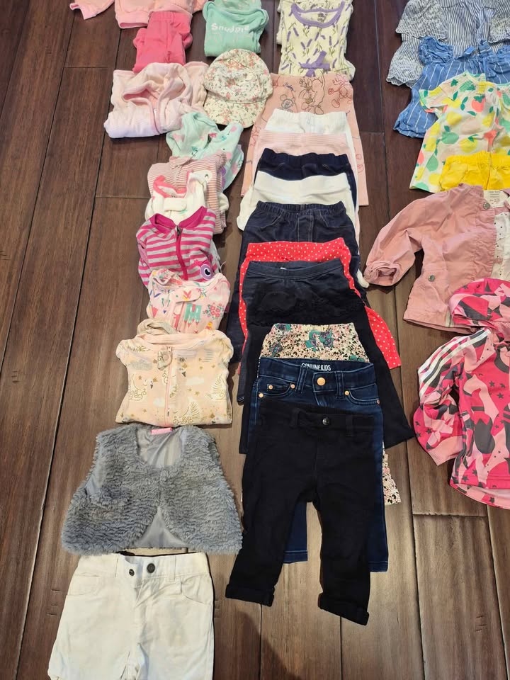 47 Piece Girls Clothing Lot (6-12 Months) - photo 4