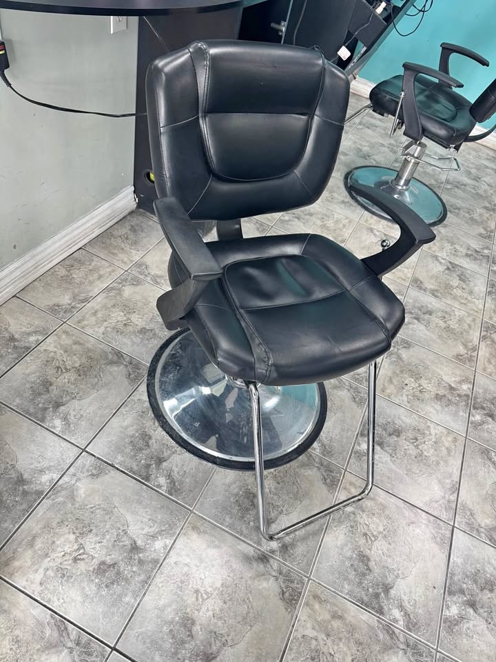 Salon Chair