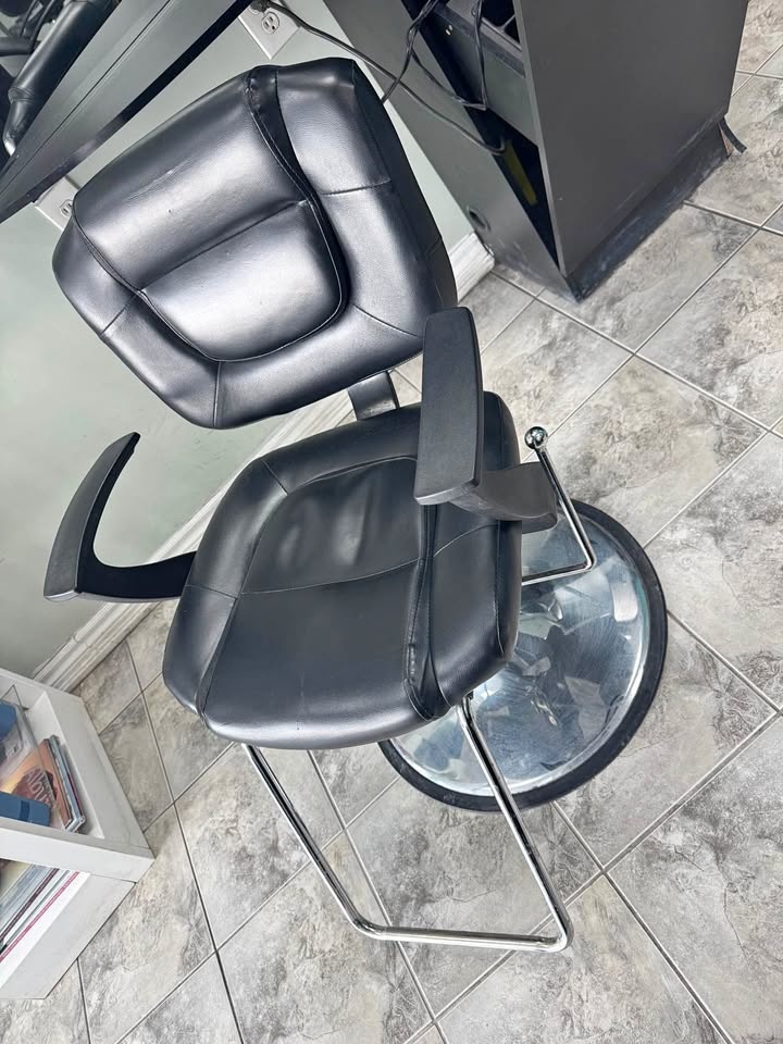 Salon Chair